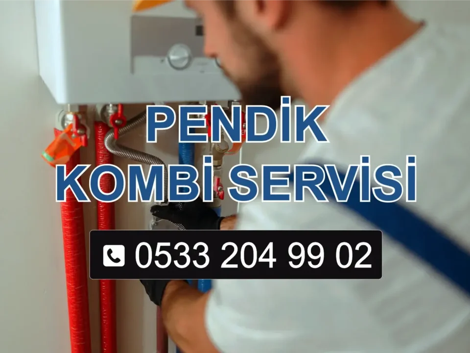 Pendik Kombi Servisi